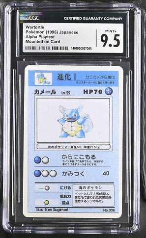 8_Wartortle