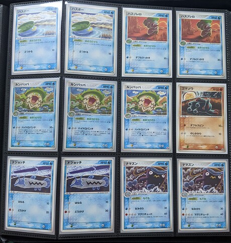 PXL_20240525_054957569