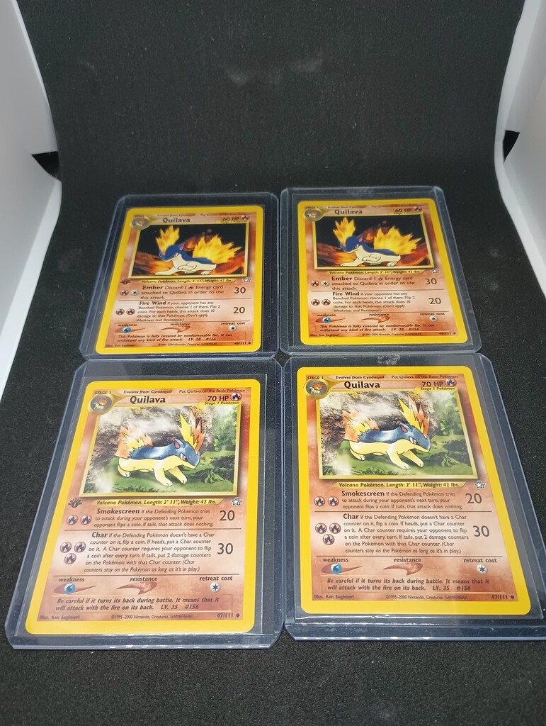 世界133枚 PSA10 マグマラシ quilava カードe 2002 70 133 Cards Worldwide PSA10 Magmarashi Quilava Card E 2002 70