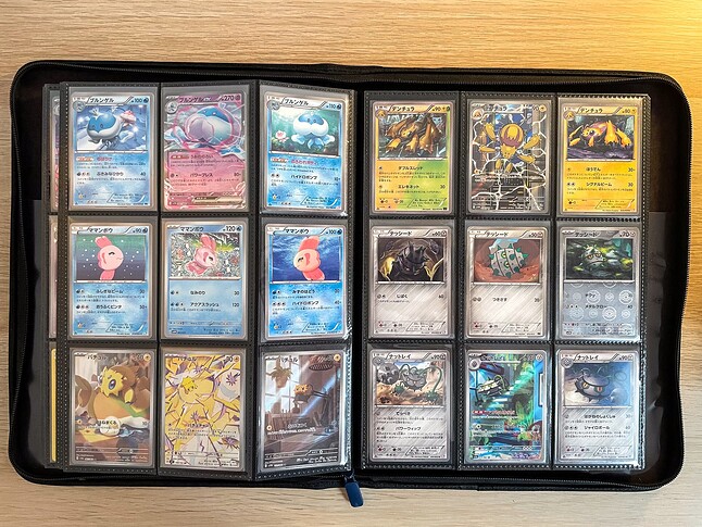 Gen 5 Pokedex -19