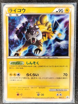 Raikou064LP