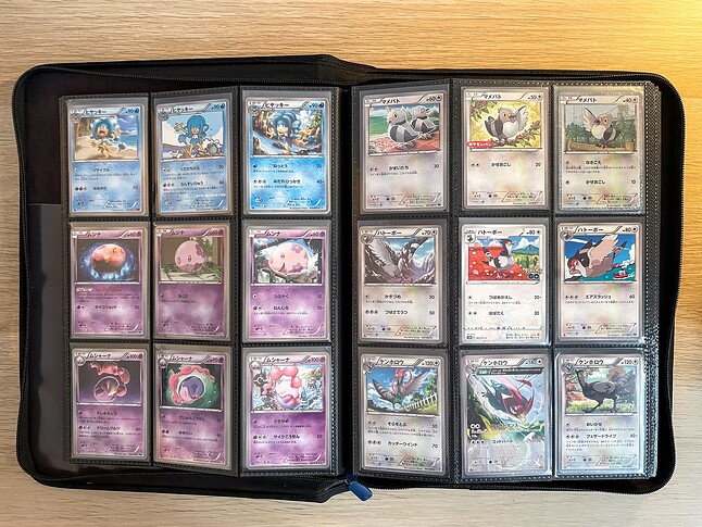 Gen 5 Pokedex -6