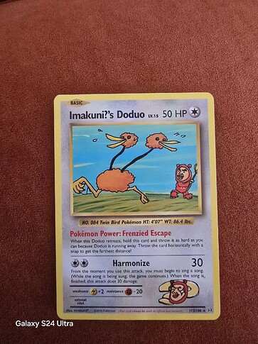 20241231_113149