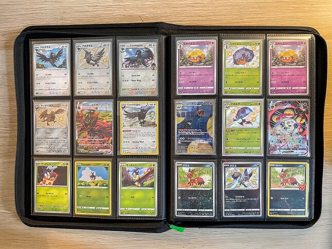 Gen 8 Pokedex-4