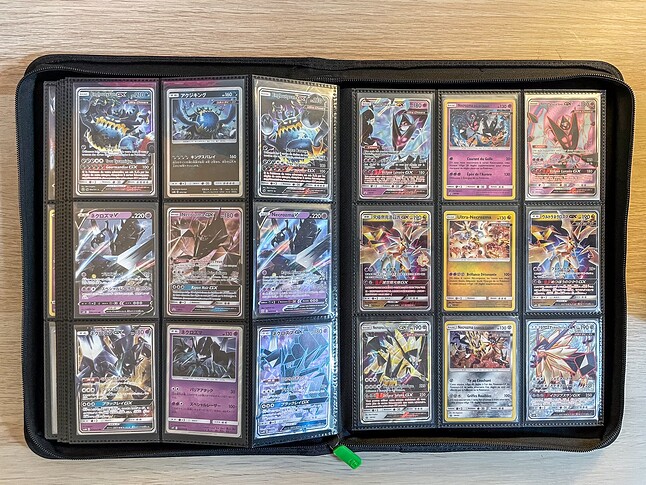 Gen 7 Pokedex Binder-17