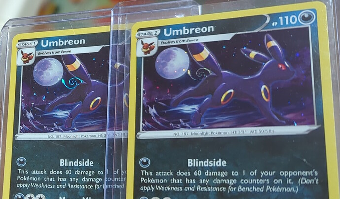 IMG_20250105_173744_702-1