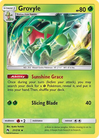 lot.021.grovyle