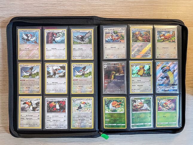 Gen 7 Pokedex Binder-3