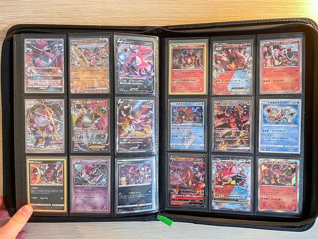 Gen 6 Pokedex Binder-19