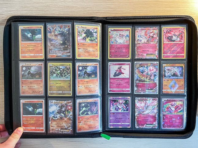 Gen 6 Pokedex Binder-18