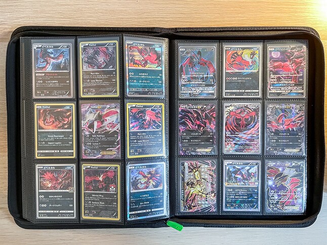Gen 6 Pokedex Binder-17