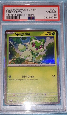 Snapchat-1317170594(2)