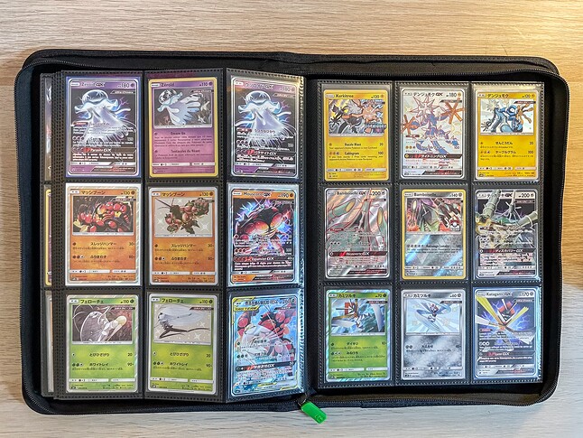 Gen 7 Pokedex Binder-16