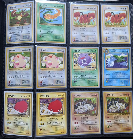 PXL_20240525_054847272