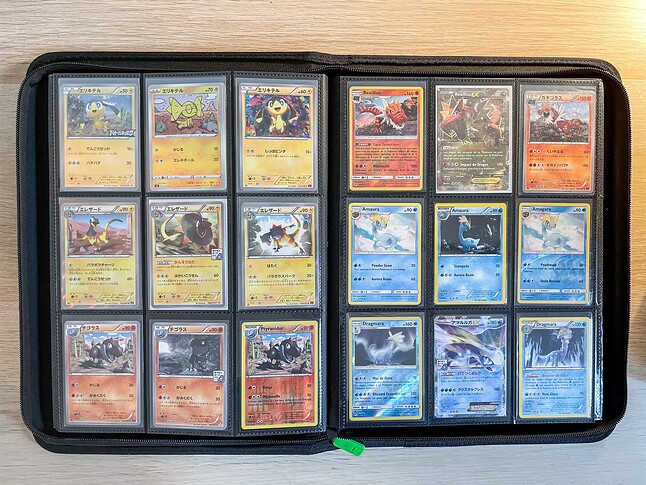 Gen 6 Pokedex Binder-10