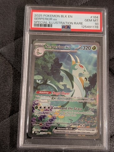 PXL_20251101_031750015.PORTRAIT.ORIGINAL