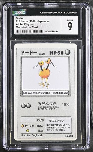 84_Doduo