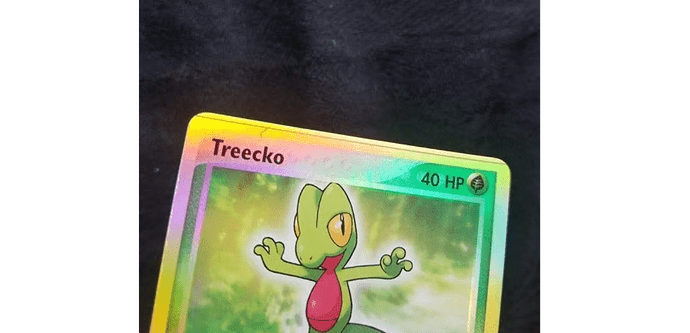 treecko1