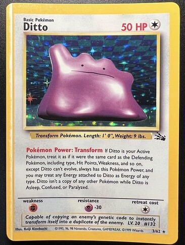 Ditto unlimited