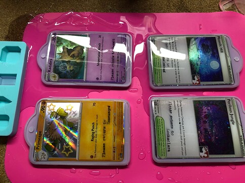 Resin tag (17)