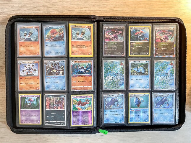 Gen 6 Pokedex Binder-9