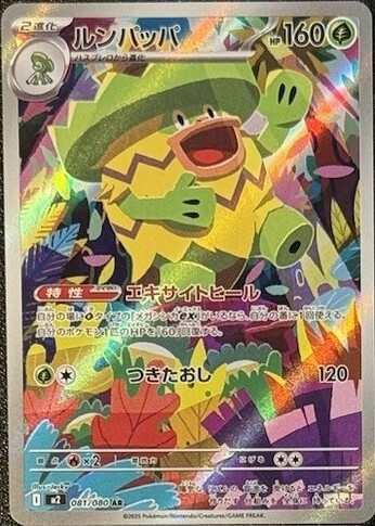 M2 081:080 Ludicolo