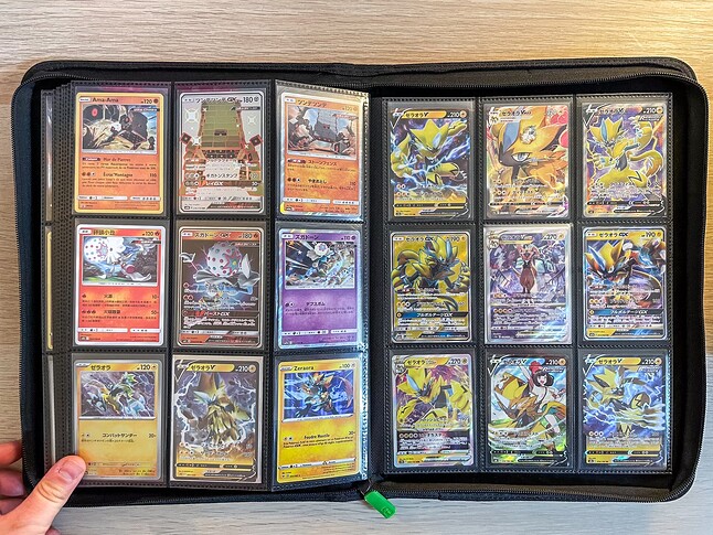 Gen 7 Pokedex Binder-19