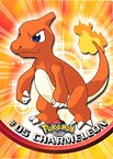#05 Charmeleon