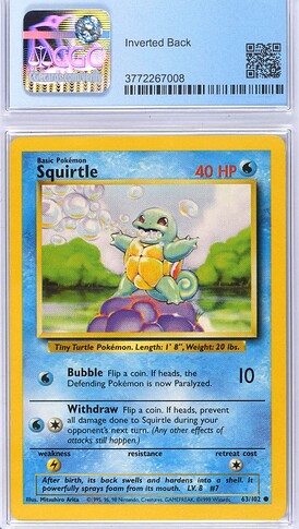 Squirtle inverted back front