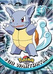 #08 Wartortle
