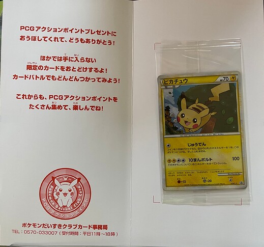 Daisuke Fan Club Pikachu