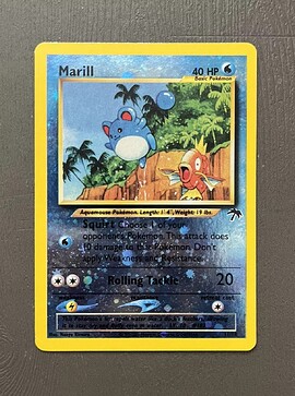 17317328144003928515082482371237