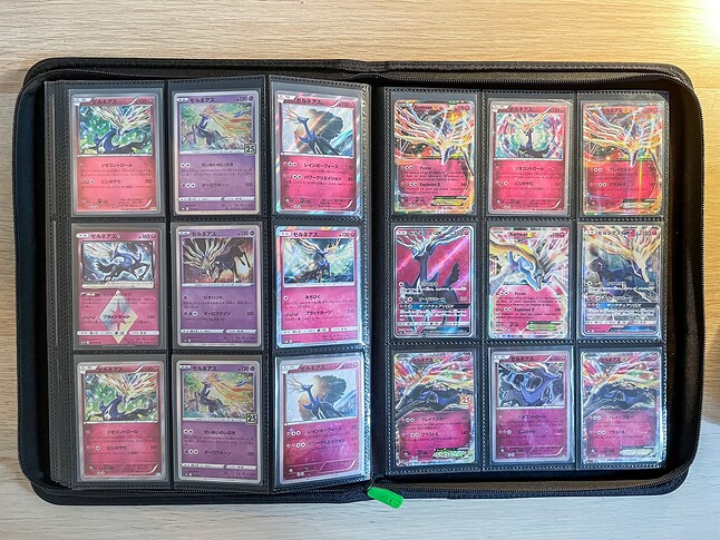 Gen 6 Pokedex Binder-16