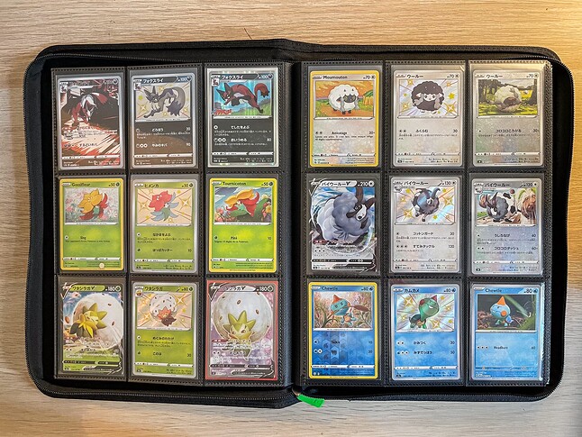 Gen 8 Pokedex-5