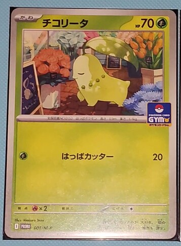 Snapchat-1317170594(5)