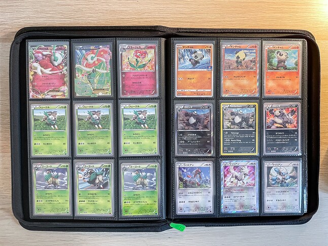 Gen 6 Pokedex Binder-6