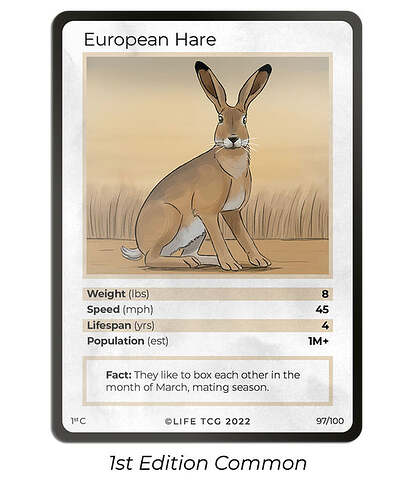 Hare_2596030b-130c-4c89-8a4f-dc75b16e8bd2