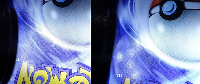 4 Jungle cardstock 2