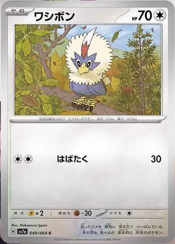 SV7a 049:064 Rufflet