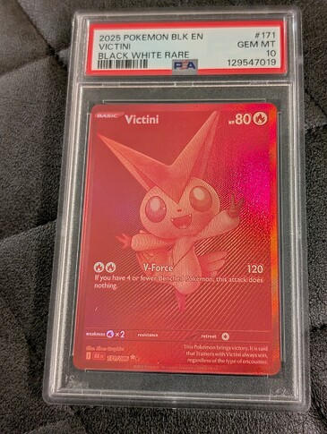 PXL_20251101_031720558.PORTRAIT.ORIGINAL