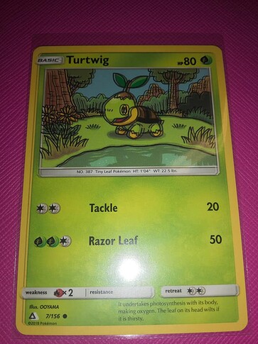 Double text Turtwig