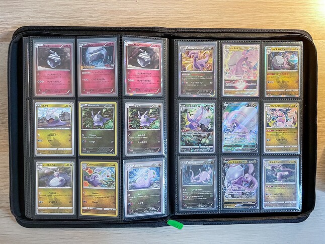 Gen 6 Pokedex Binder-13