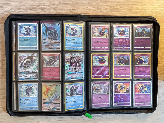 Gen 7 Pokedex Binder-14