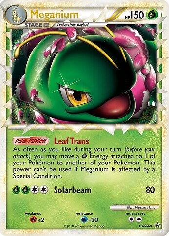 heartgold_soulsilver_promos.HGSS08.meganium
