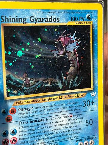 Asking to experts: is my Shining Gyarados with double holo