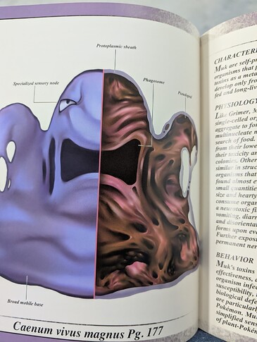 PXL_20250328_215502922