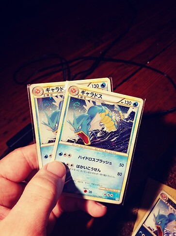 Same holofoil pattern (Japanese L1 Gyarados)