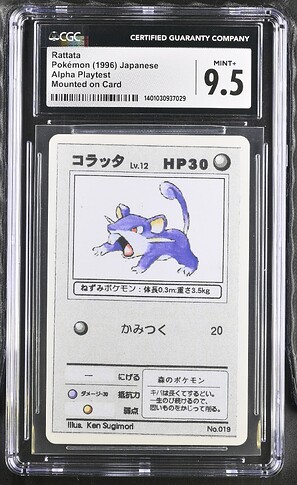 19_Rattata