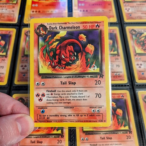DARK_CHARMELEON_COLLECTION_2