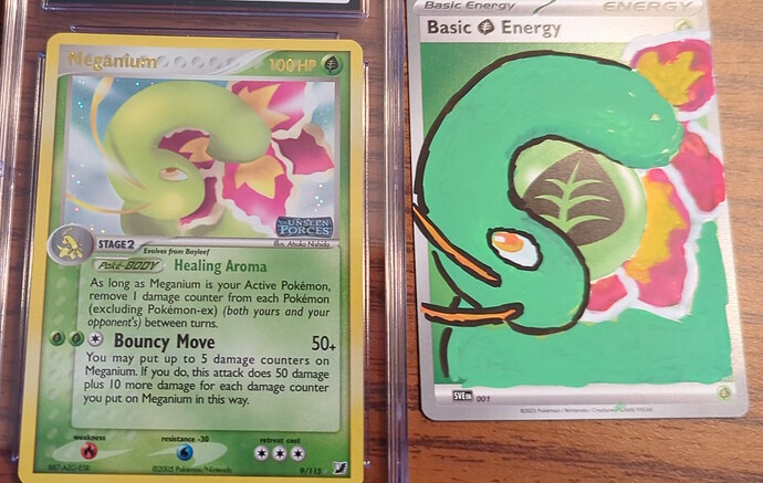 meganium-drawing